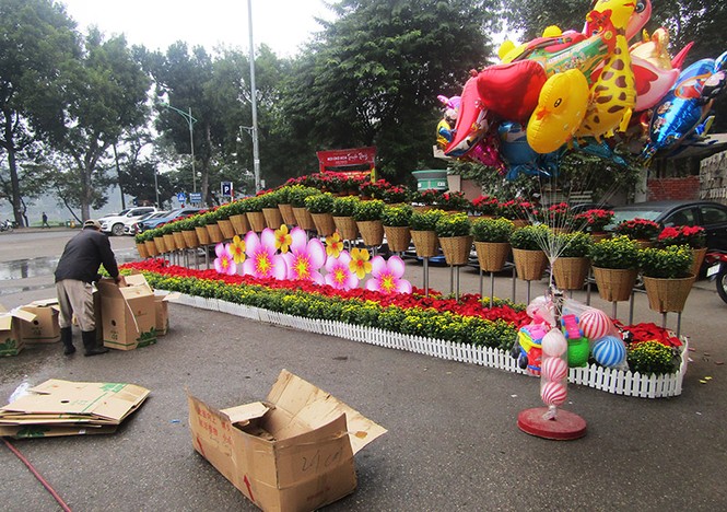 công viên, trang trí, cây tết, thống nhất, hà nội, cây xanh, tết, - ảnh 15