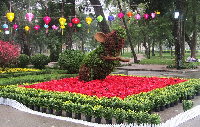 công viên, trang trí, cây tết, thống nhất, hà nội, cây xanh, tết, - ảnh 5