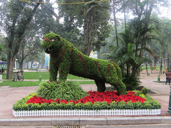 công viên, trang trí, cây tết, thống nhất, hà nội, cây xanh, tết, - ảnh 9