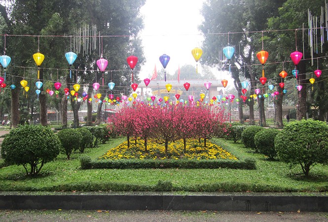 công viên, trang trí, cây tết, thống nhất, hà nội, cây xanh, tết, - ảnh 14