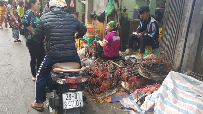 30 tết, hà nội, chợ tết, giá cả, leo thang, thịt lợn - ảnh 6