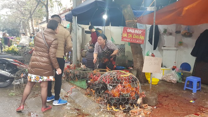 30 tết, hà nội, chợ tết, giá cả, leo thang, thịt lợn - ảnh 7