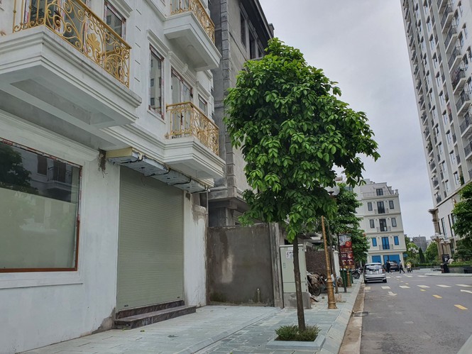 sai phạm, xây dựng, Hóa chất Nhựa, Nguyễn Văn Luyện, Chủ tịch UBND phường Bồ Đề, quận long biên, phường thụy khuê, nguyễn quang ngọc, chủ tịch phường thụy khuê, hoàn kiếm, phạm tuấn long, hàng bạc, - ảnh 10