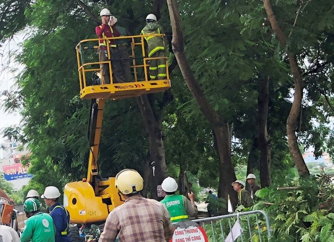 Ngăn đường chặt cây gây ùn tắc kéo dài - ảnh 2
