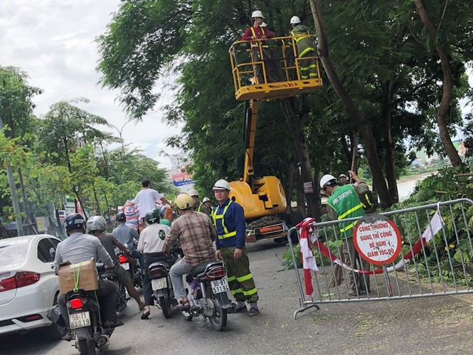 Ngăn đường chặt cây gây ùn tắc kéo dài - ảnh 5