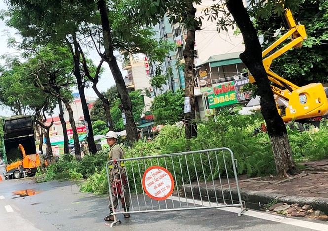 Ngăn đường chặt cây gây ùn tắc kéo dài - ảnh 6