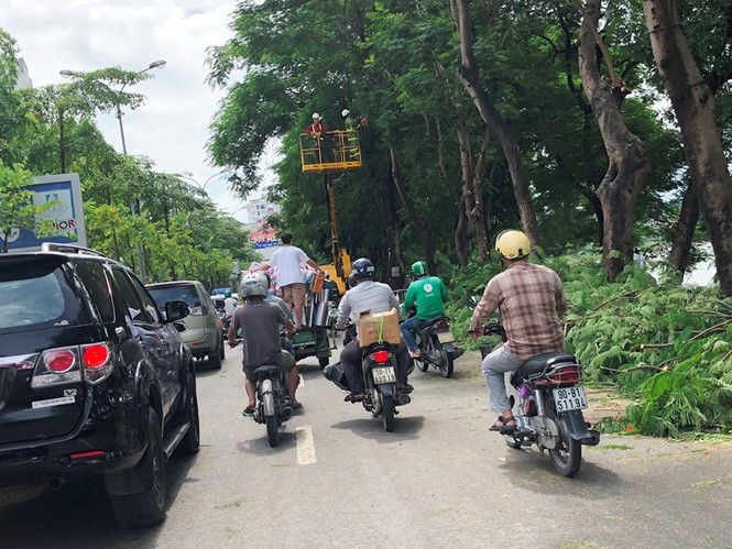 Ngăn đường chặt cây gây ùn tắc kéo dài - ảnh 7