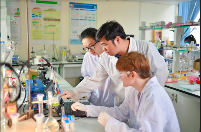 Thiết kế nghề nghiệp cho tương lai - ảnh 2
