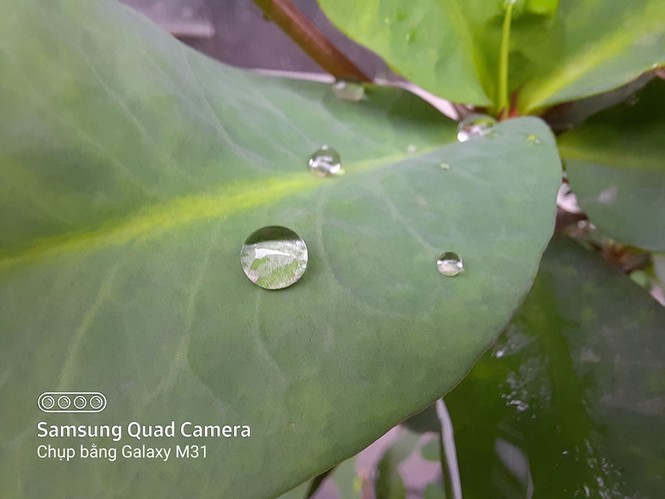 Redmi Note 9s vs. Galaxy M31: “Mãnh thú” nhà Xiaomi và Samsung khác nhau như thế nào? - ảnh 21