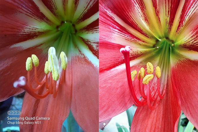Redmi Note 9s vs. Galaxy M31: “Mãnh thú” nhà Xiaomi và Samsung khác nhau như thế nào? - ảnh 20