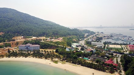 Chưa triển khai Quy hoạch Sơn Trà để tiếp thu ý kiến - ảnh 2