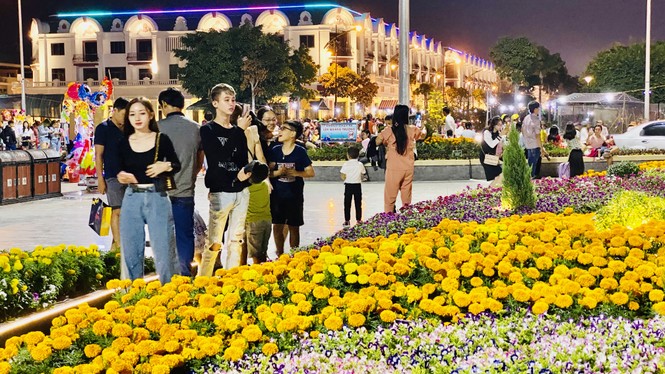 Tận mắt thấy gia đình chuột ở khu lấn biển lớn nhất Việt Nam - ảnh 9