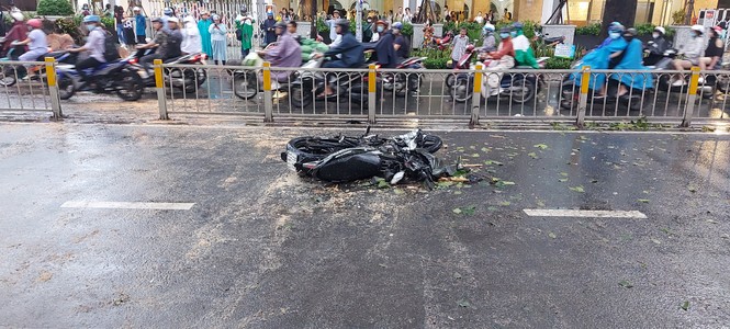 People died from falling trees in Ho Chi Minh City, exposing unexpected causes!  - Photo 3