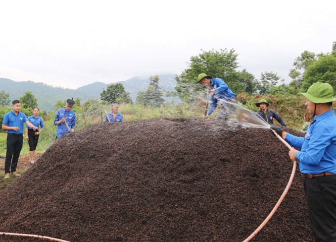 Mùa Hè Xanh 2020 - ảnh 6