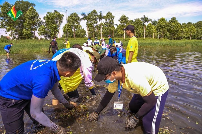 Hội Sinh viên ĐH Mở TP.HCM - ảnh 1