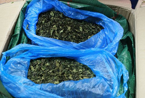 11 kiện hàng nghi chứa chất ma túy bị phát hiện ở Hà Nội - ảnh 1