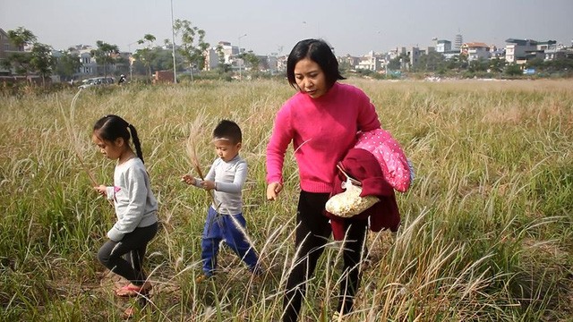 Bãi cỏ lau đẹp như tranh vẽ mới xuất hiện ở Hà Nội - ảnh 7