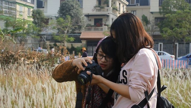 Bãi cỏ lau đẹp như tranh vẽ mới xuất hiện ở Hà Nội - ảnh 8