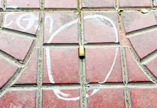 Hơn 100 cảnh sát vào rừng lùng bắt nhóm nghi can bắn chết người - ảnh 1