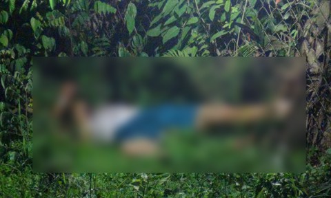 Bắt nghi phạm giết người dã man, Trung tá công an bị chém gục - ảnh 2