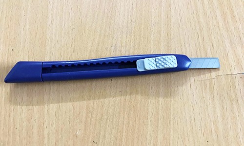 Thiếu nữ 16 tuổi khống chế, tước hung khí của kẻ cướp - ảnh 1