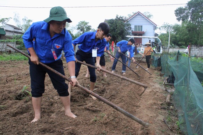 T.Ư Đoàn tổ chức hoạt động tình nguyện tại quê hương Lý Tự Trọng - ảnh 3