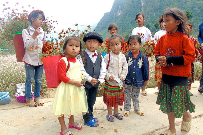 Tam giác mạch nở rộ trên cao nguyên đá - ảnh 5