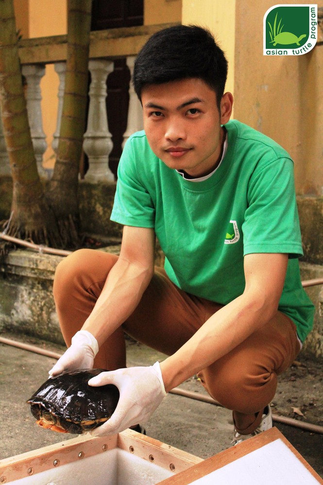 cứu hộ cá thể rùa từ Hồng Kong - ảnh 2
