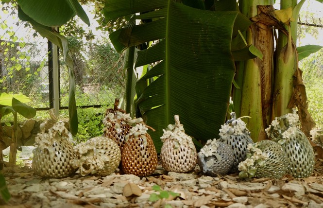 7 hoạ sỹ chung tay trong triển lãm mang tên 'Gốm Sài Gòn' - ảnh 3