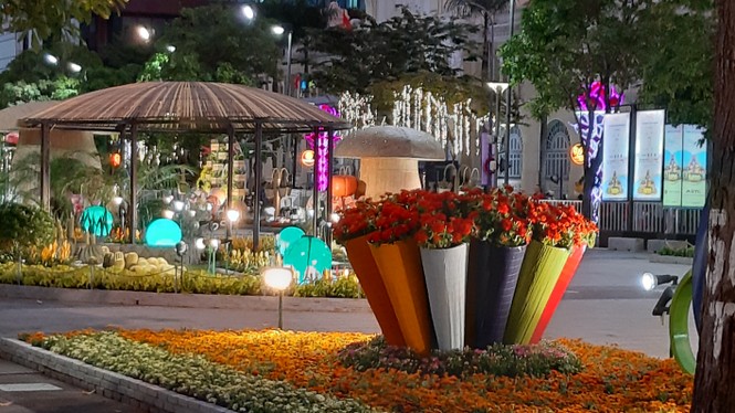 Trên 1 triệu du khách tham quan đường hoa Nguyễn Huệ - ảnh 2