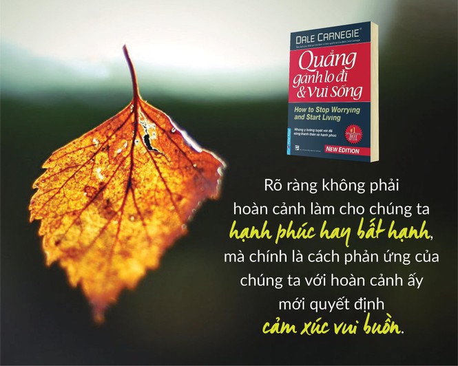 Nữ sinh cấp 3 đạt giải Nhì với cuốn sách ‘Quẳng gánh lo đi để vui sống’ - ảnh 1