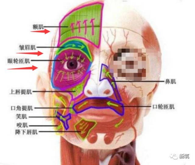 Đóng đinh vào má để có má lúm đồng tiền như diễn viên Lê Tư - ảnh 3