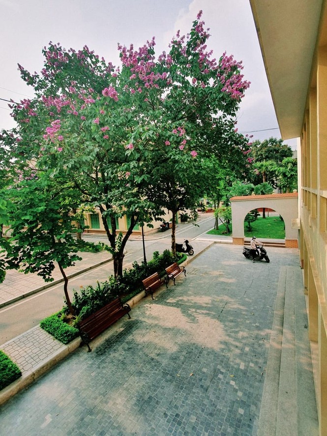 Trường Đại học Thương mại, lãng mạn từng khoảnh khắc - ảnh 11