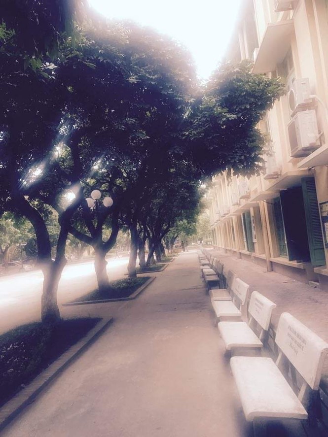 Trường Đại học Thương mại, lãng mạn từng khoảnh khắc - ảnh 12