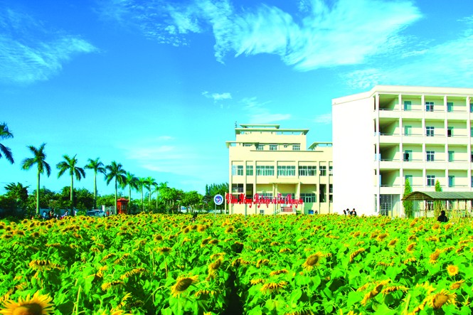 Ấn tượng vẻ đẹp Trường Đại học Vinh - ảnh 8