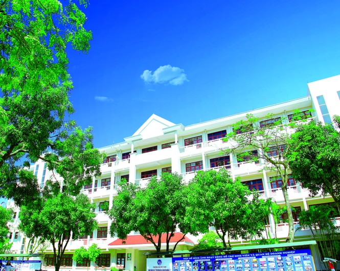 Ấn tượng vẻ đẹp Trường Đại học Vinh - ảnh 10