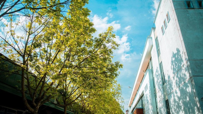 Học viện Nông nghiệp Việt Nam - nơi viết tiếp câu chuyện tuổi trẻ của bao thế hệ sinh viên - ảnh 9