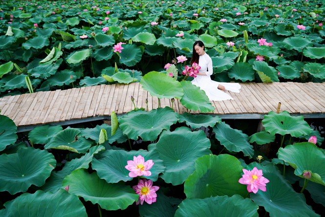 Học viện Nông nghiệp Việt Nam - nơi viết tiếp câu chuyện tuổi trẻ của bao thế hệ sinh viên - ảnh 12