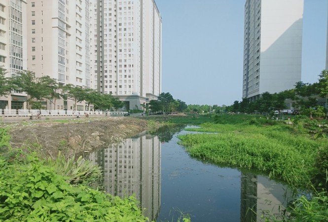 TP. HCM: Tổng kiểm tra trên 100 dự án có dấu hiệu lấn sông Sài Gòn - ảnh 2