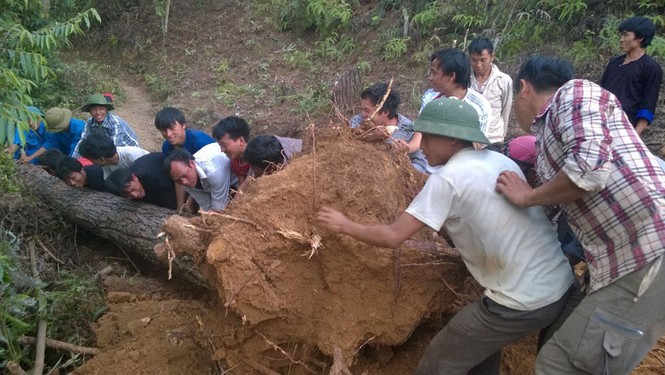 Sức trẻ Mù Cang Chải trên công trường thanh niên tình nguyện - ảnh 4