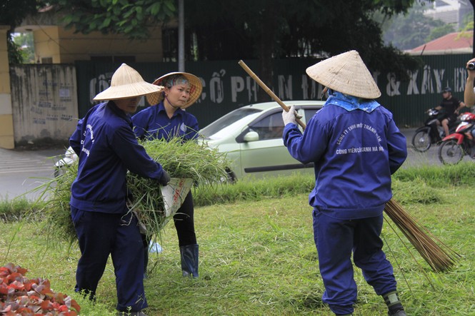 cắt cỏ trở lại - ảnh 7