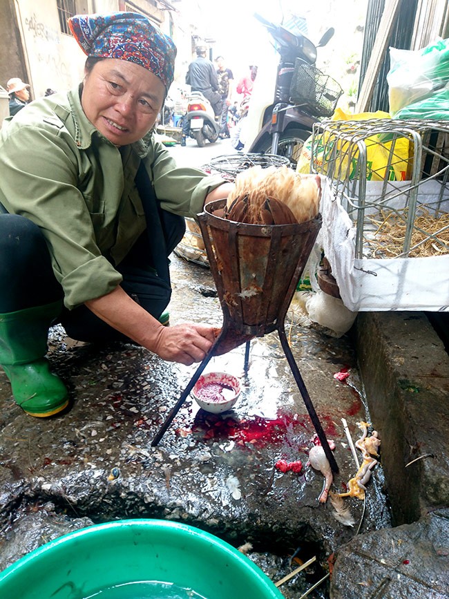 Rợn người vào chợ gà đúng lúc rộ dịch cúm - ảnh 6