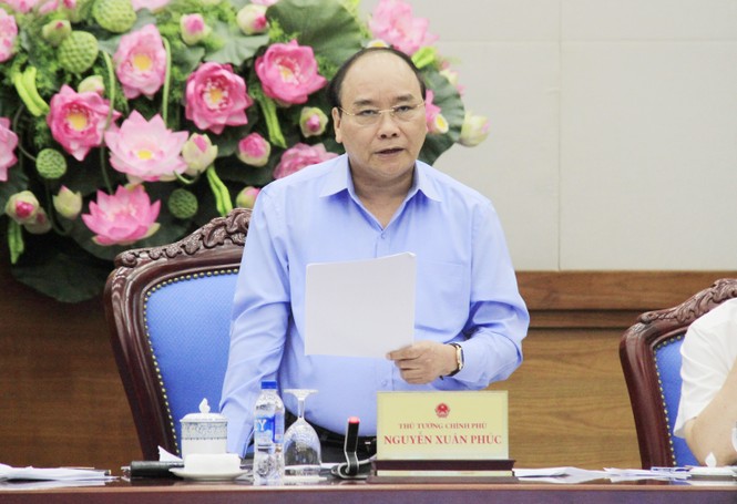 Thủ tướng: 'Gỗ chứ phải cái kim đâu mà không phát hiện được?' - ảnh 1