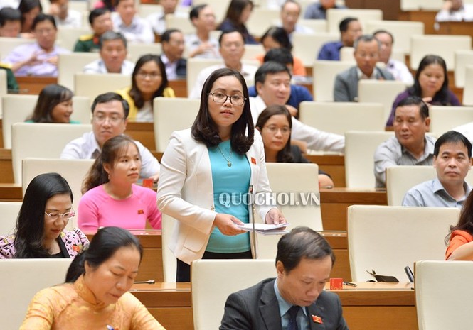 ĐBQH: Bịt lỗ hổng chuyển nhượng đất cho người nước ngoài - ảnh 2