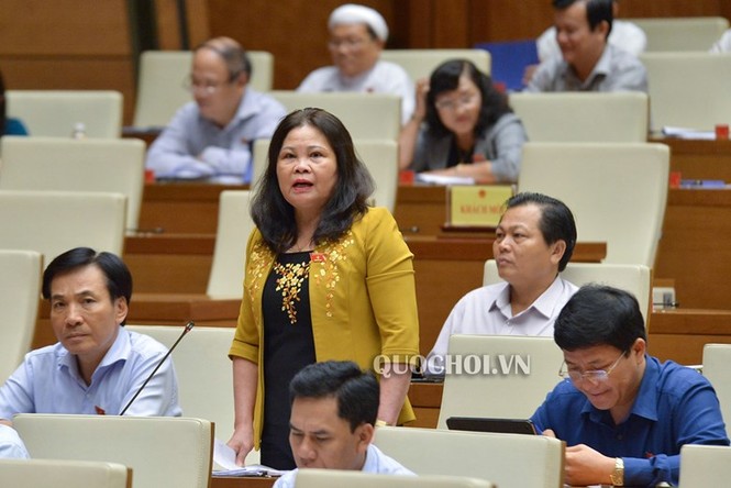 ĐBQH: 'Luật đầu tư công không phải tội đồ' - ảnh 3