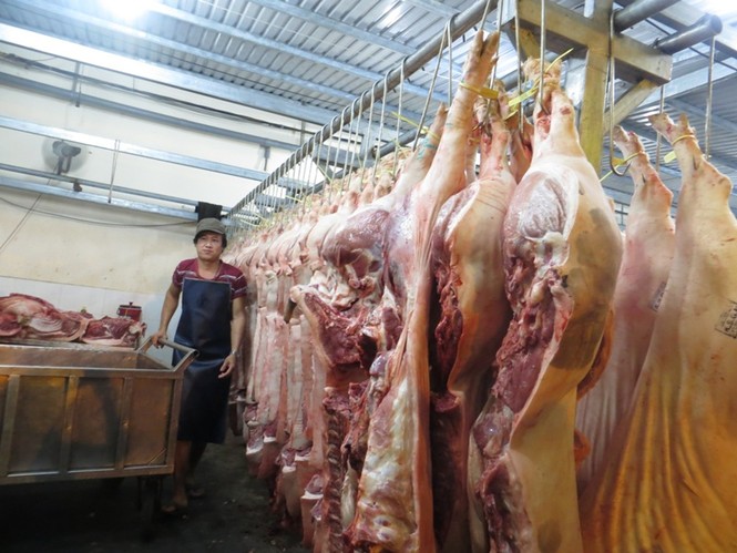 Phó Thủ tướng thị sát chợ đầu mối lớn nhất TPHCM lúc rạng sáng - ảnh 6