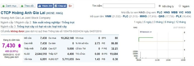 Đón 'mưa tiền' 1 tỷ USD, cổ phiếu của bầu Đức 'nổi sóng' - ảnh 2