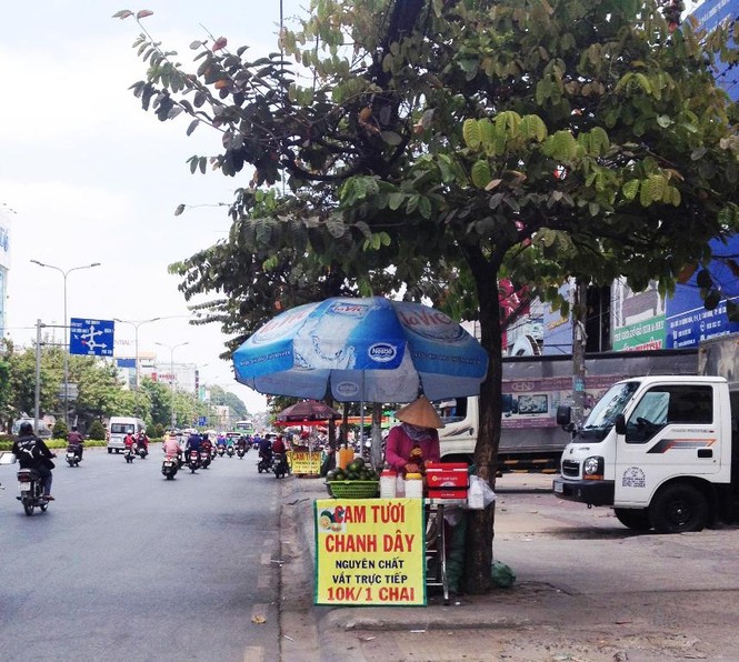 Nắng như lửa đốt: Hoa quả, điều hòa 'đắt như tôm tươi' - ảnh 4