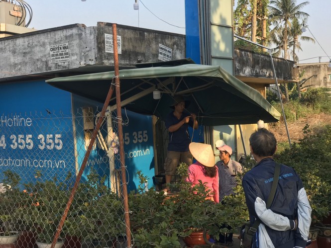 Mai vàng, hoa Tết nhộn nhịp xuống phố - ảnh 4