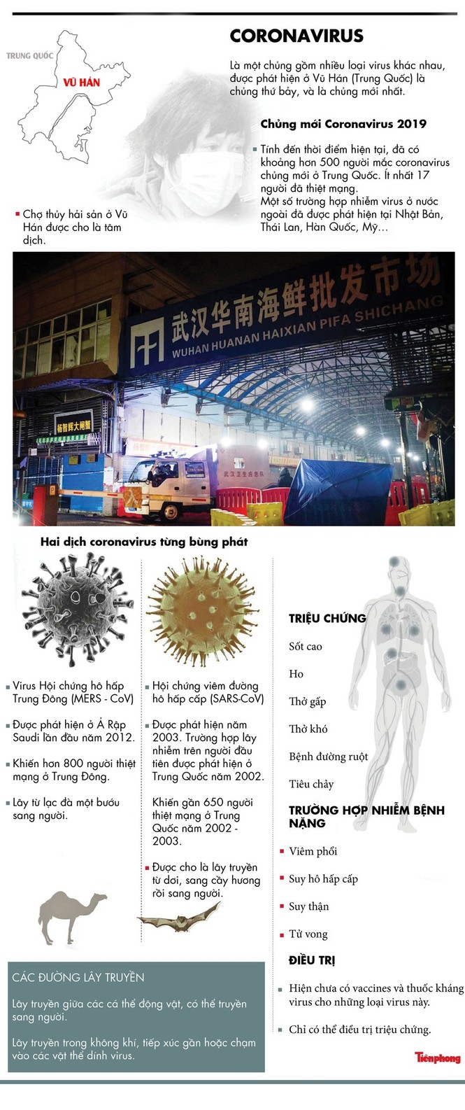 Thông tin mới 2 người Trung Quốc nhiễm virus corona đang bị cách ly ở TPHCM - ảnh 5